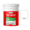 TERSINOL LATEX INTERIOR BLANCO 10 LT