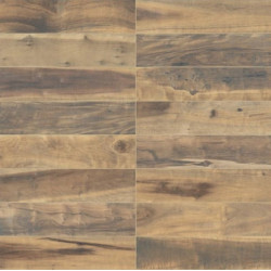 ARAUCARIA RE 20X80 1º...