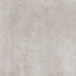 CARDINALES GRIS 51X51 2º...