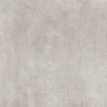 CARDINALES GRIS 51X51 2º ALBERDI X M2