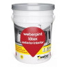 LATEX  EXTERIOR/INTERIOR 20 LTS WEBERPINT