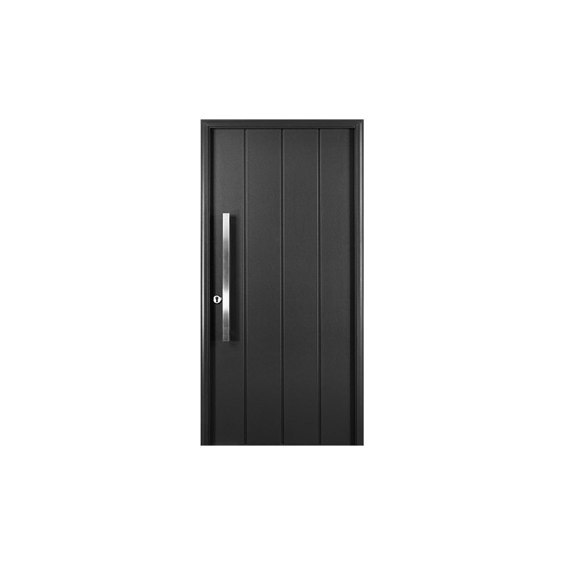 PUERTA MULTIP OBLAK GRAFITO C/BARRAL REC M/CH M1115