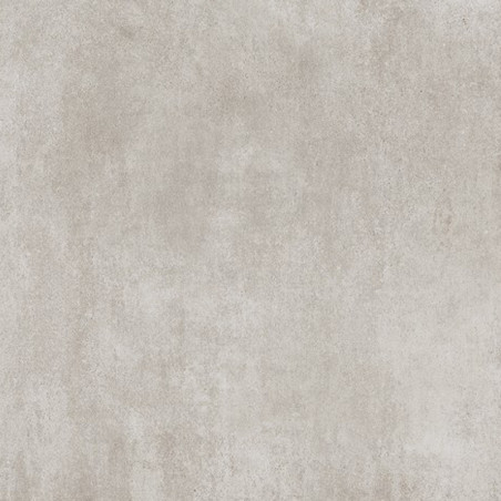 CARDINALES GRIS 51X51 2º ALBERDI X M2