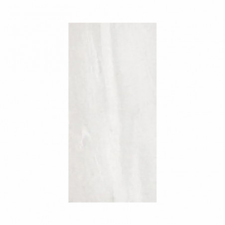 BRISTOL WHITE 60X120 2º ALBERDI X M2